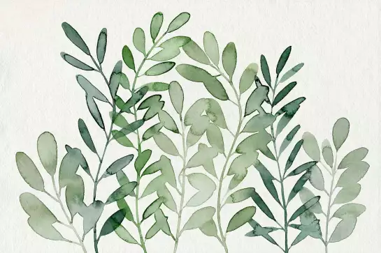 Fourrages - poster plantes