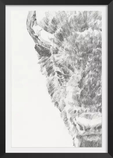 Graphite Bison Portrait - animaux noir et blanc dessin