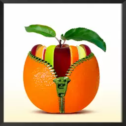 Fruitos - affiche fruits