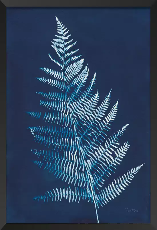 Fougère bleue prusse - feuille graphique