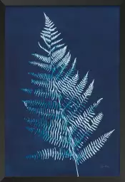 Fougère bleue prusse - feuille graphique