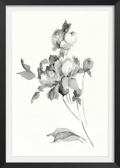 Fleurs de pivoine - tableau fleur noir et blanc