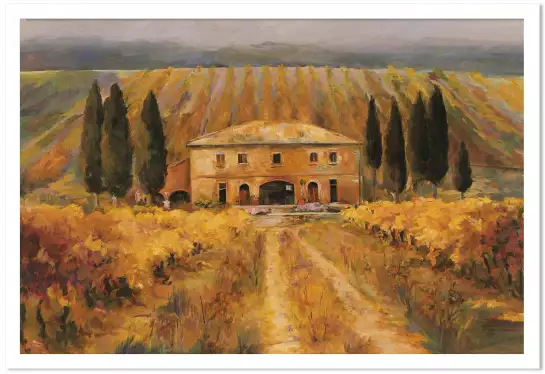 Toscana Vigna - paysage toscane