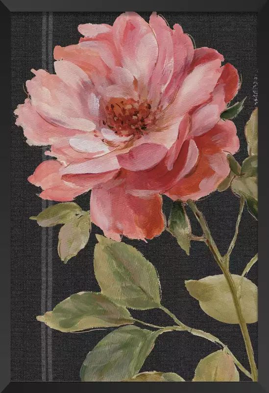 Harmonie Rose Noir - affiche fleurs