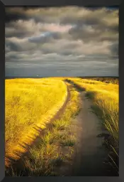 Sur la route - paysages d'été