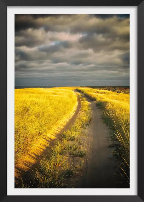 Sur la route - paysages d'été