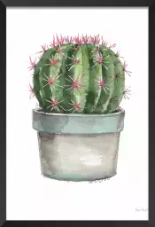 Cactus boule - affiche de fleurs