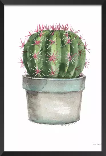 Cactus boule - affiche de fleurs