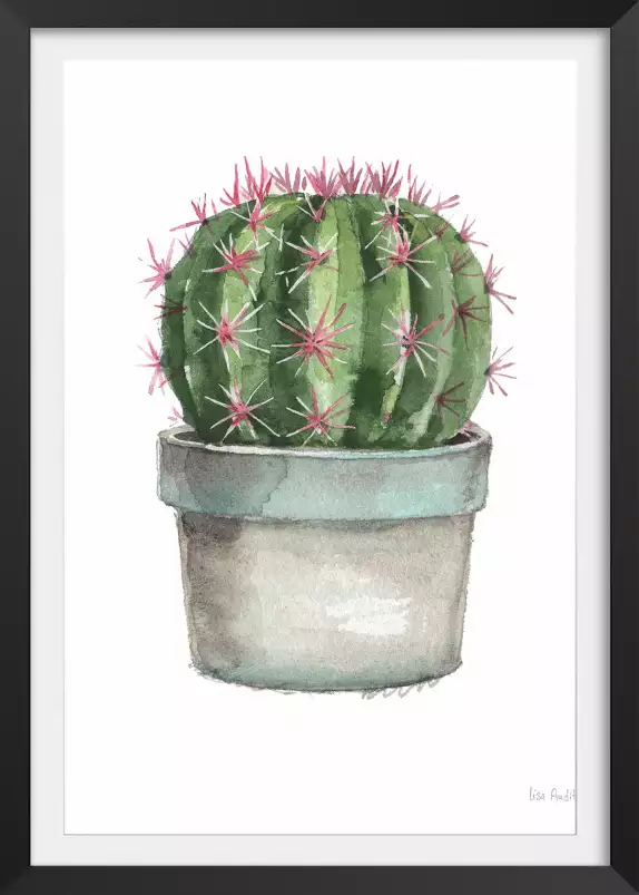 Cactus boule - affiche de fleurs
