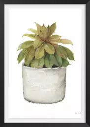 Cactus plante - affiche de fleurs