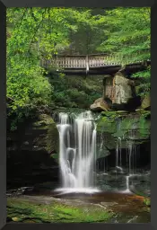 Chutes d'Elakala Ouest - paysage cascade