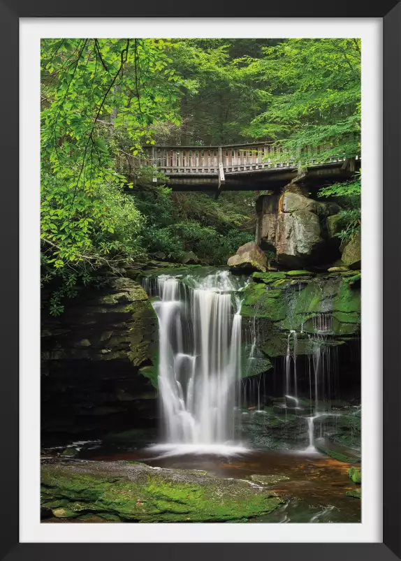 Chutes d'Elakala Ouest - paysage cascade