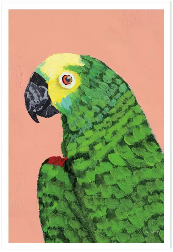Tête de perroquet - affiche oiseaux tropicaux