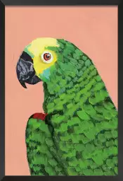 Tête de perroquet - affiche oiseaux tropicaux