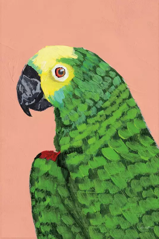 Tête de perroquet - affiche oiseaux tropicaux