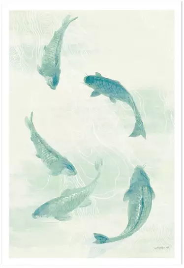 Koï céladon - affiche poisson