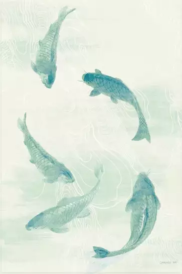 Koï céladon - affiche poisson