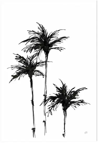 Palmes sombres III - affiche botanique palmier