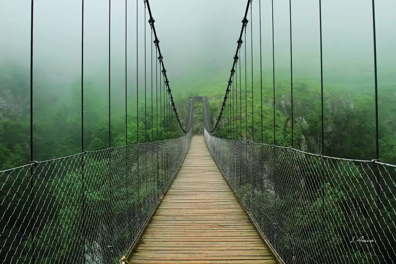 Pont suspendu foret - tableau paysage nature