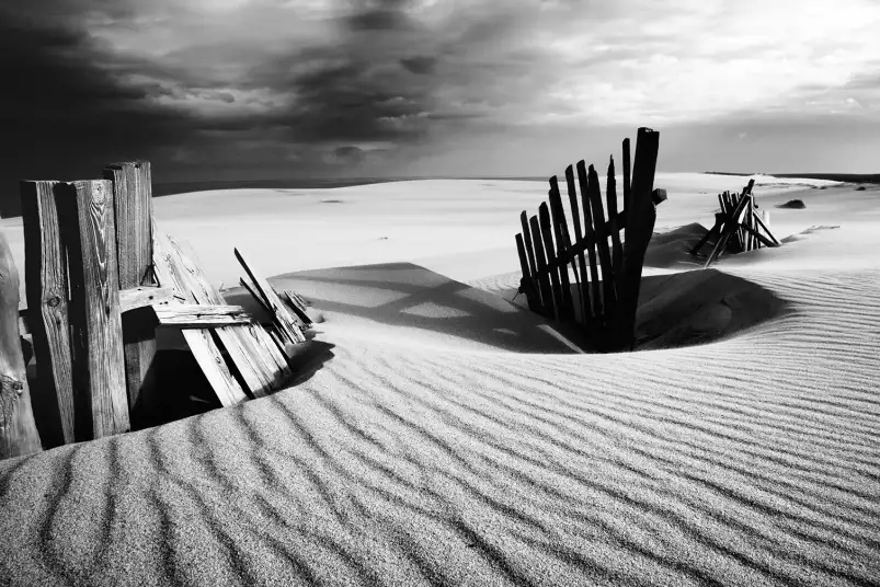 Dunes - tableau bord de plage
