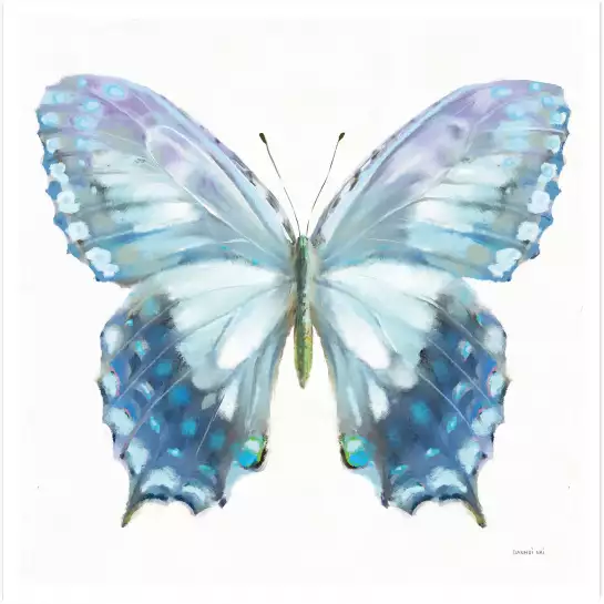 Papillon bleue - peinture animaux colorés