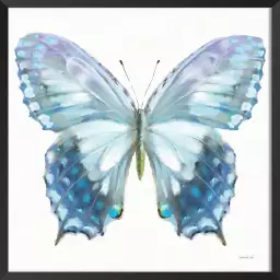 Papillon bleue - peinture animaux colorés