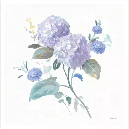 Hortensia mauve - affiche de fleurs
