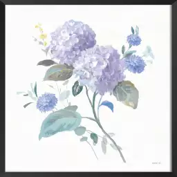 Hortensia mauve - affiche de fleurs