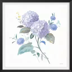 Hortensia mauve - affiche de fleurs