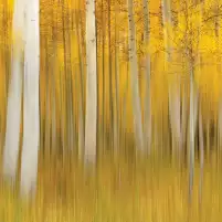 L'automne jaune - crédence sur mesure