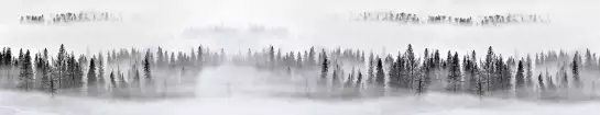 Brouillard en forêt - crédence sur mesure