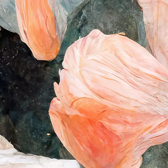 Feuilles de saumon - panoramique floral