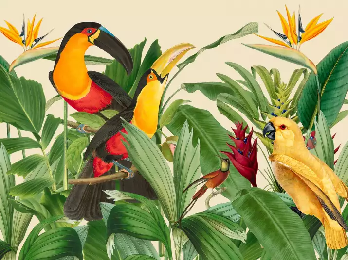 Jardin d'oiseaux tropicaux - papier peint oiseaux et fleurs