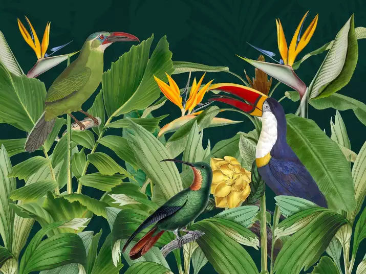 Oiseaux sous les tropiques - papier peint oiseaux et fleurs
