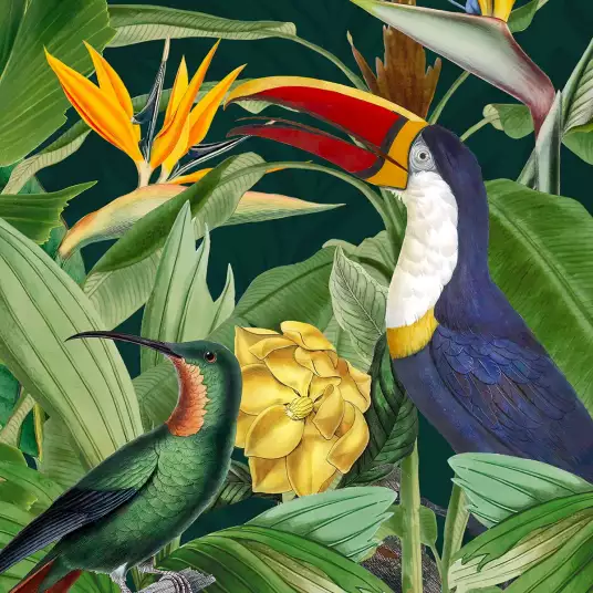 Oiseaux sous les tropiques - papier peint oiseaux et fleurs