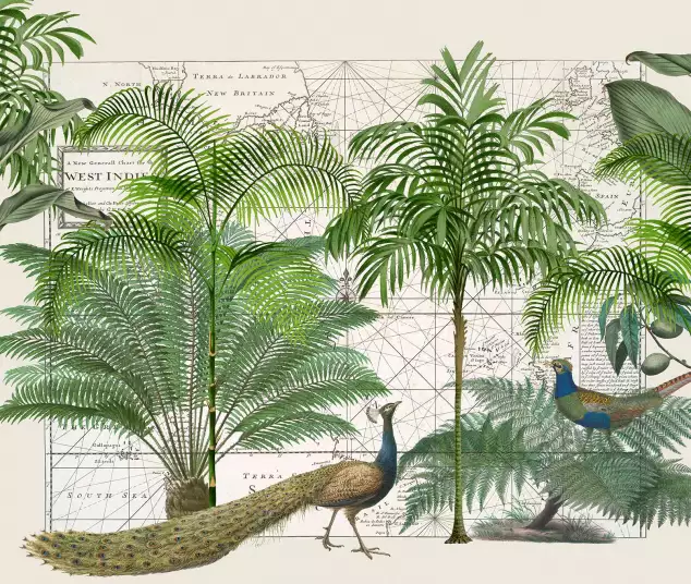 Empire tropical - papier peint oiseaux et fleurs