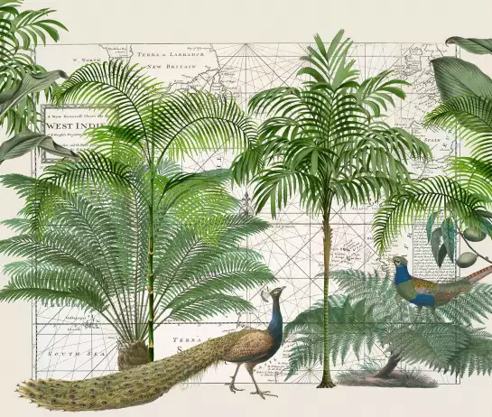 Papier peint Empire tropical motifs fleurs et animaux exotiques
