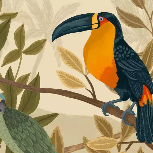 Toucans - papier peint oiseaux