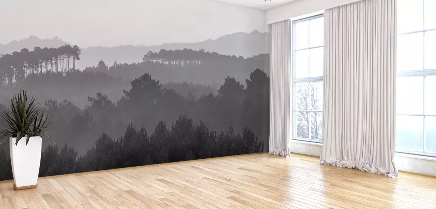 La forêt landaise - papier peint paysages