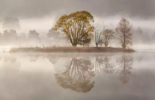 Matin brumeux - papier peint nature