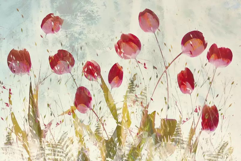 Tulipes heureuses - papier panoramique fleurs
