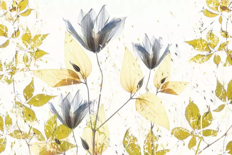 Ambiance printanière - papier panoramique fleurs