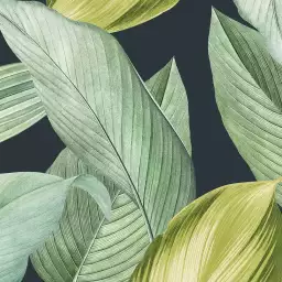 Feuilles vert lime - tapisserie panoramique feuilles