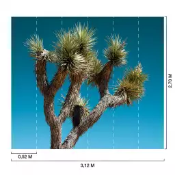 Cactus géant - tapisserie panoramique jungle