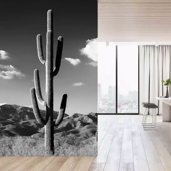 Cactus désert n&b - tapisserie panoramique jungle