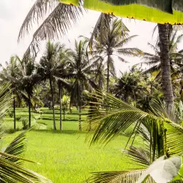 Paysage de Bali - tapisserie panoramique exotique