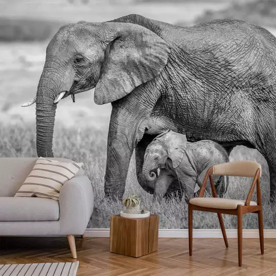 Eléphante et son petit - tapisserie panoramique savane noir et blanc