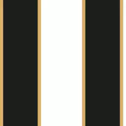 Rayures noir dorés - tapisserie géométrique