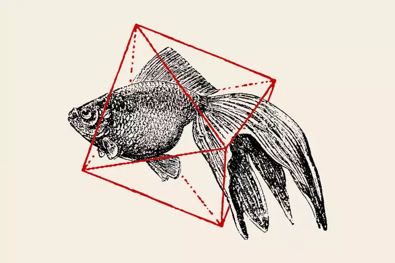 Fish In Geometrics - graphisme animaux