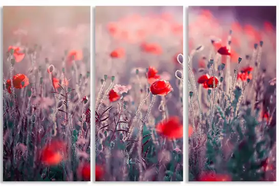 Prairie de coquelicots - tableau champs de coquelicots